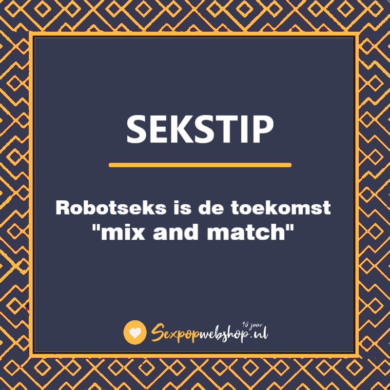robotseks_is_de_toekomst-_-_hebben_we_echt_sex_met_een_robot